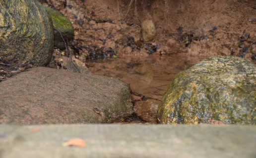 9. Varniškių šaltinis1 A.Panavo.jpg